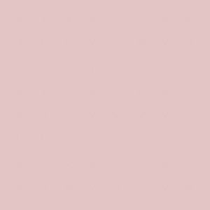 Meet your Posher, Ella